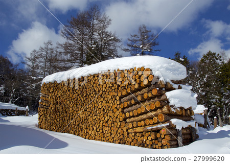 Larch log of snow piled up 27999620
