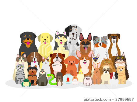 Group of pets 27999697