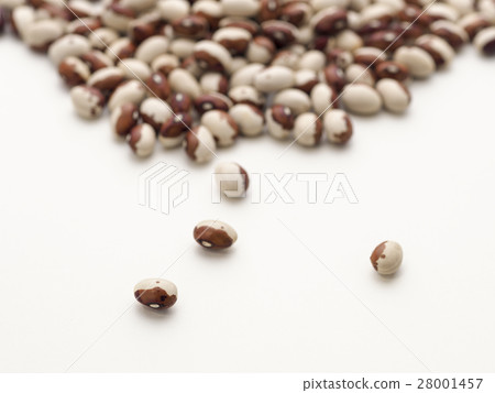 Mountain beans and loose beans (Hokkaido produced bean) 28001457