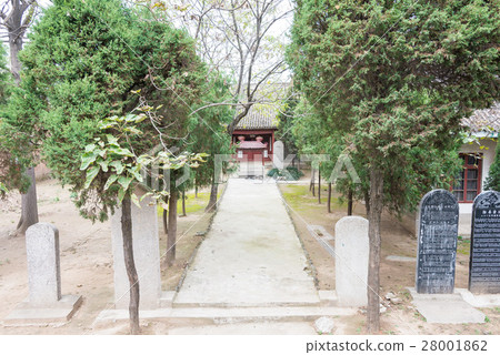 Zhendo Xuchang, Henan Province, China 28001862