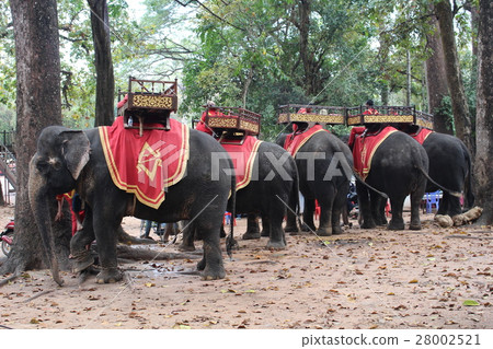 遊人大像在吳哥城柬埔寨 遊人大像在吳哥城柬埔寨 28002521