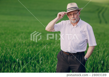 old man in field 28003189