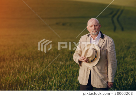old man in field old man in field 28003208