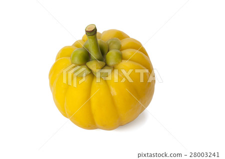 Garcinia Cambogia Garcinia Cambogia 28003241