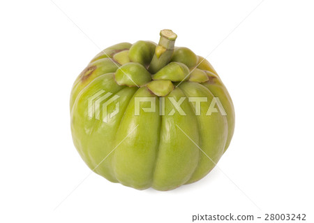 Garcinia Cambogia Garcinia Cambogia 28003242