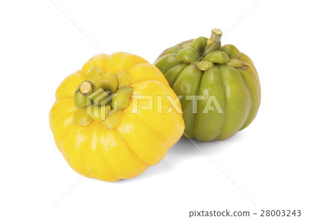 Garcinia Cambogia Garcinia Cambogia 28003243