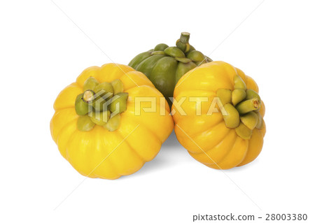 Garcinia Cambogia Garcinia Cambogia 28003380