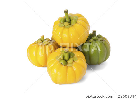 Garcinia Cambogia Garcinia Cambogia 28003384