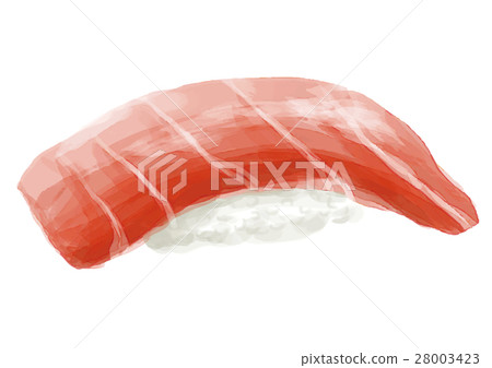 Squid sushi 28003423