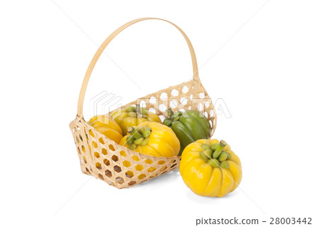 Garcinia Cambogia Garcinia Cambogia 28003442