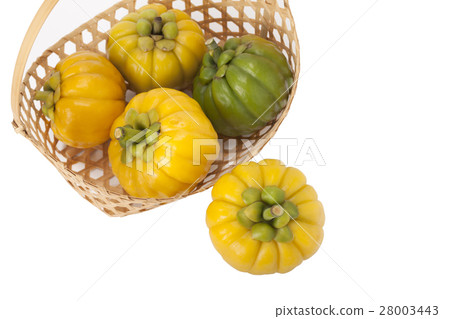 Garcinia Cambogia Garcinia Cambogia 28003443