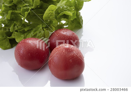 Fresh and pesticide-free vegetables, direct delivery from vegetables 28003466