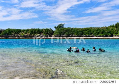 Diving course Diving course 28005261