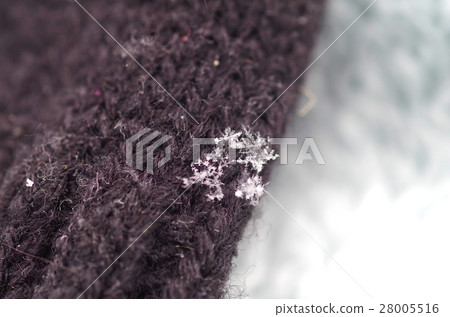 Crystal of snow	 28005516