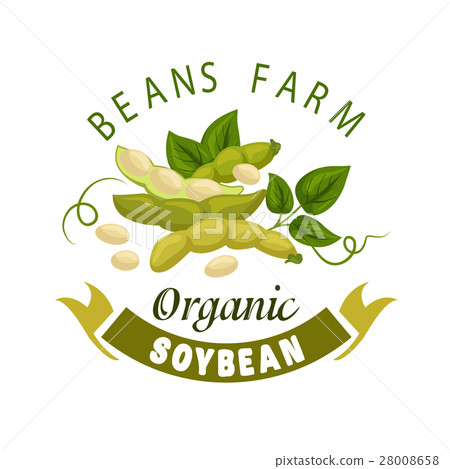 Soybean and legume beans pods vector poster 28008658