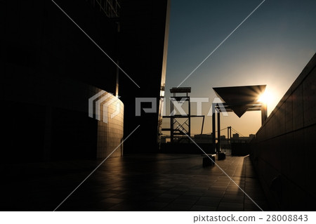Contrast (23) 28008843