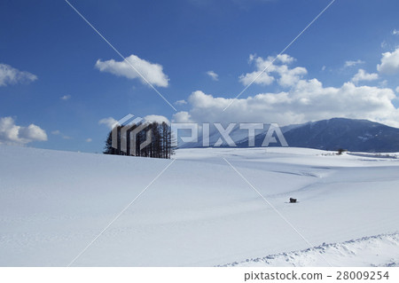 Tsumagoi and Mt. Asama snow scene Tsumagoi and Mt. Asama snow scene 28009254