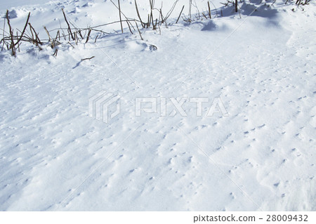 Snow Hill Snowscape 28009432