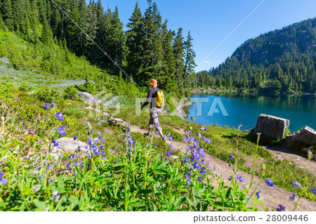 Summer hike 28009446