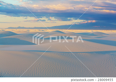 White sands 28009455