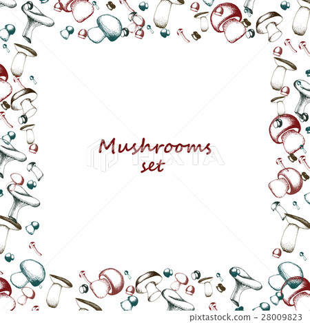 Mushrooms arranged in frame Mushrooms arranged in frame 28009823
