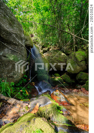 waterfall in Nosy Mangabe, Madagascar wilderness 28010824