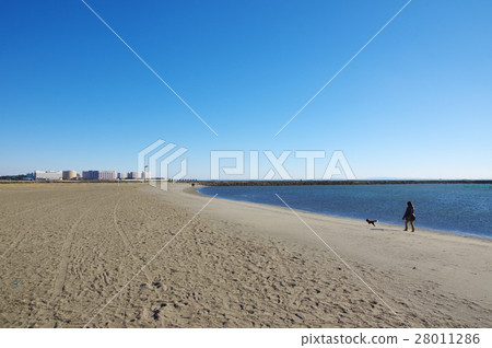 Kasai Seaside Park in winter (Edogawa-ku, Tokyo) 28011286