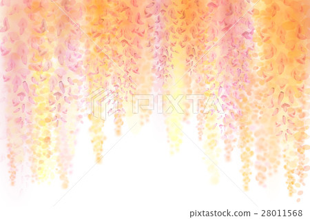 Spring background with blooming wisteria Spring background with blooming wisteria 28011568