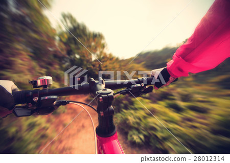 young woman riding mountain bike on forest trail 28012314