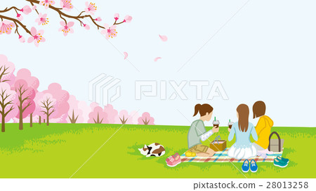 採取櫻花觀看春天領域的三名婦女 28013258