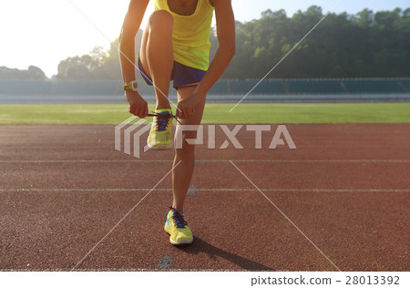 young fitness woman runner tying shoelace young fitness woman runner tying shoelace 28013392