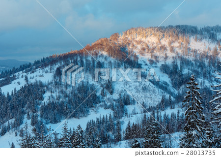 Evening winter Ukrainian Carpathian Mountains 28013735