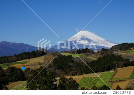 富士山和陰涼的田野 富士山和陰涼的田野 28013778