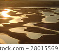 Shimane beach tidal flat 28015569