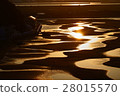 Shimane beach tidal flat 28015570