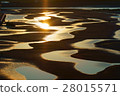 Shimane beach tidal flat 28015571