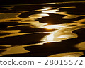Shimane beach tidal flat 28015572