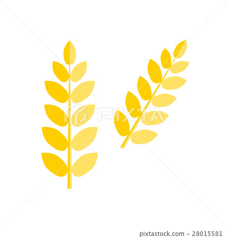 Ear wheat isolated vector. Ear wheat isolated vector. 28015581