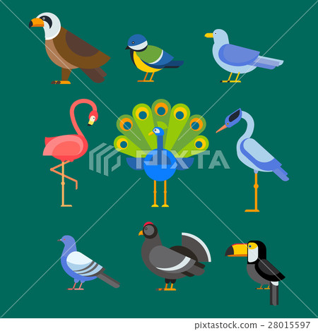 Birds vector set illustration isolated 28015597