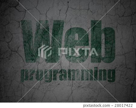 Web design concept: Web Programming on grunge wall 28017422