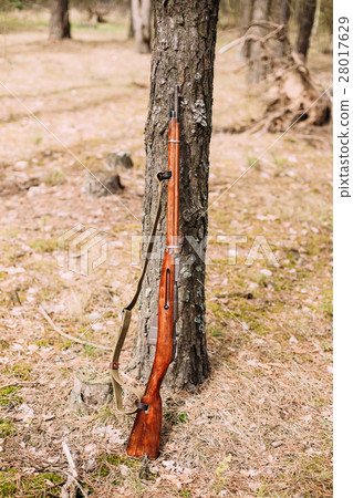 Soviet russian rifle of World War II leaning Soviet russian rifle of World War II leaning 28017629