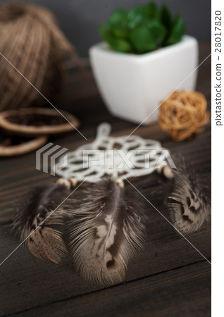 Close up of dream catcher feathers 28017820