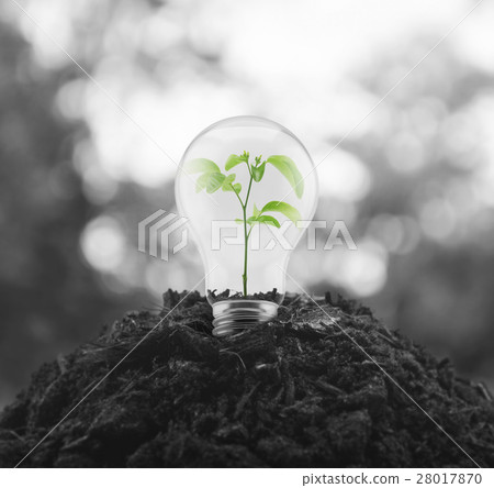 Eco energy concept Eco energy concept 28017870