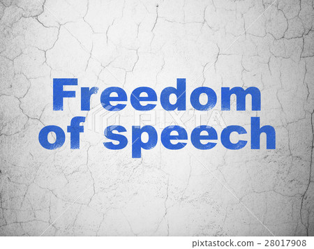 Politics concept: Freedom Of Speech on wall 28017908