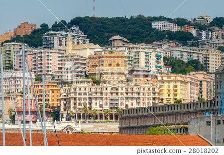 Genoa. Old quarters. 28018202