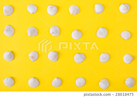 Pattern of seashell on yellow background. Pattern of seashell on yellow background. 28018475