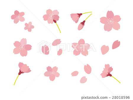 櫻桃例證集合 櫻桃例證集合 28018596