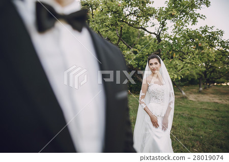 bride and groom bride and groom 28019074