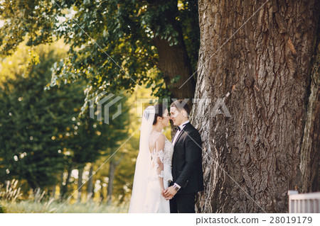 bride and groom bride and groom 28019179
