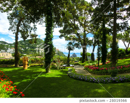 Bautiful public garden in Capri island  28019366